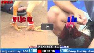 Trận 11 CPC1 29/02/2025 - Anh Âu Đâm 1 Cây Anh Lộc Bay Bồ