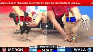 Trận 11 CPC2 07/03/2025 - Anh Bé Mang Cọp Ra Hạ Đẹp Chuối Nhập