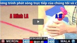 Trận 13 CPC1 04/02/2025 - Anh Minh Long An Thể Hiện Đẳng Cấp Trước Cánh Gà Bình Dương