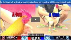 Trận 14 CPC1 15/03/2025 - Khét Ra Chân Là Đâm Hạ Uá Trong 3 Nốt Nhạc