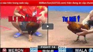 Trận 14 CPC2 14/02/2025 - Trận Gà Bị Phản Đầy Đáng Tiếc Của Gà Rừng