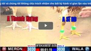 Trận 15 CPC1 13/02/2025 - Bướm Cọp Tiền Giang Hạ Đẹp Khét Bồ Tuấn Sĩ