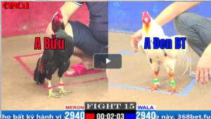 Trận 15 CPC1 29/02/2025 - Anh Bé Nài Gà Phản Kèo Ăn 1 Qúa Hay