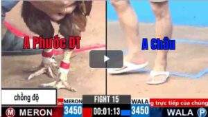 Trận 15 CPC2 09/03/2025 - Gà Cú Chồng Độ 3 Vẫn Xuất Hạ Đối Thủ