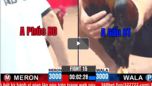 Trận 15 CPC3 08/03/2025 - Chú Phúc Bình Dương Hạ Đẹp Đương Kim Vô Địch Gấu Bến Tre