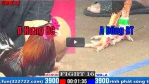 Trận 16 CPC1 31/03/2025 - Trận Đấu Phản Kèo Bất Ngờ Của Anh Dũng BT