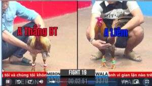 Trận 16 CPC2 09/03/2025 - Anh Thắng Bến Tre Hạ Đẹp Chú Liêm Bằng Xám Hiệu