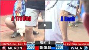 Trận 16 CPC2 09/03/2025 - Trận Đấu Ra Quân Của Thắng Bến Tre Hôm Nay