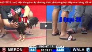 Trận 17 CPC2 05/03/2025 - Gà Bảo Sting Ra Quân Thắng Dễ Tại C2 Hôm Nay