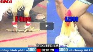 Trận 18 CPC1 27/03/2025 - AZ888 Đụng Bướm Hiệu Vẫn Chiến Thắng Ngoạn Mục