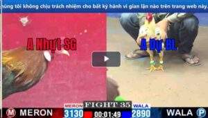 Trận 19 CPC1 07/03/2025 -Khét Cọp Dự Bảo Lộc Gặp Ngay Điều Xanh Qúa Xuất Sắc