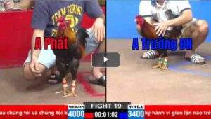 Trận 19 CPC2 26/03/2025 - Nhẹ Hơn 6 Chấm Nhưng Vẫn Xuất Sắc Hạ Đẹp Đối Thủ