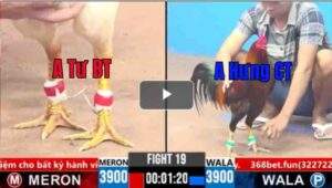 Trận 19 CPC3 13/02/2025 - Anh Hưng Cần Thơ Ra Quân Gặp Khó