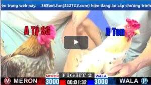 Trận 2 CPC1 13/02/2025 - Bướm Hiệu tiền Giang Ra Chân Chớp Nhoáng