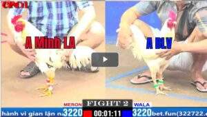 Trận 2 CPC1 25/03/2025 - Má Minh Ra Quân Lội Ngược Dòng Thành Công