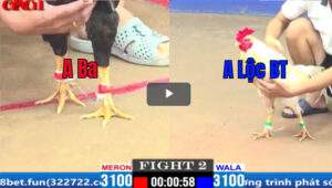 Trận 2 CPC1 29/02/2025 - Anh Ba Ra Quân Hạ Đẹp Cánh Gà Bến Tre