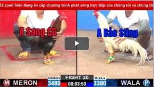 Trận 20 CPC2 12/03/2025 - Trận Thắng Đầu Tiên Của Bảo Sting Hôm Nay