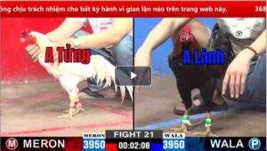 Trận 21 CPC2 07/03/2025 - Cọp Anh Lành Lâu Ngày Xuất Hiện Lại Không Làm Anh Em Thất Vọng