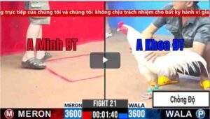 Trận 21 CPC3 04/02/2025 - Anh Khoa Đồng Tháp Hạ Má Minh Qúa Hấp Dẫn