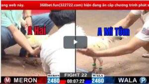 Trận 22 CPC2 12/03/2025 - Bướm Hiệu Bảo Sting Không Làm Anh Em Thất Vọng