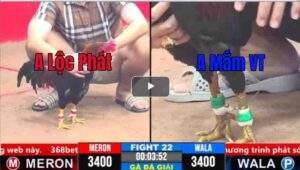 Trận 22 CPC3 19/03/2025 - Trận Đấu Đầu Tiên Trong Hành Trình Vô Địch Của Anh Mắm Vũng Tàu