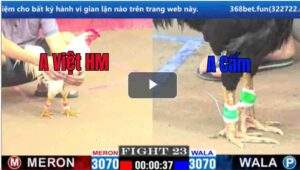 Trận 23 CPC1 11/03/2025 - Khi 2 Sát Thủ Gặp Nhau Sẽ Như Thế Nào