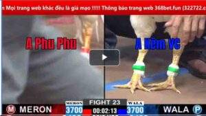 Trận 23 CPC2 02/03/2025 - Phu Phu Có Trận Thắng Ngoạn Mục Trước Anh Kẽm Vĩnh Châu