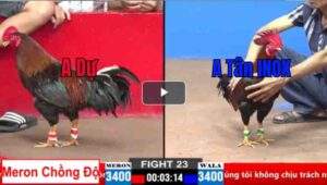 Trận 23 CPC2 26/03/2025 - Hàng Hiệu Chồng Độ Chiến Thắng Nhẹ Nhàng