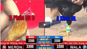 Trận 23 CPC3 08/03/2025 - Xám Hiệu Chú Phúc Bình Dương Khôn Như NGười