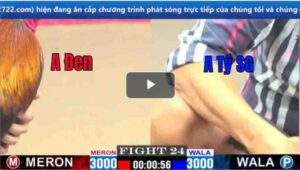 Trận 24 CPC1 11/03/2025 - Trận Gà Qúa Hay Và Kịch Tính Hôm Nay Tại Bồ CPC1