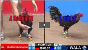 Trận 24 CPC2 16/02/2025 - Cánh Gà Trà Vinh Tiếp Tục Thắng Dễ Tại CPC2