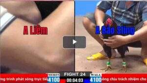 Trận 24 CPC2 30/03/2025 - Trận Đấu Bảo Sting Bao Bồ Thắng Gần Cả Tỏi