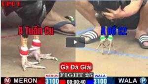 Trận 25 CPC1 22/03/2025 - Trận Đấu Đầu Tiên Trong Hành Trình Vô Địch Của Anh Tuấn Cu