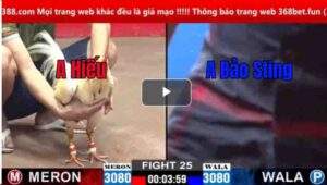 Trận 25 CPC2 02/03/2025 - Bảo Sting Có Trận Thắng Đầu Tiên Quá Hay