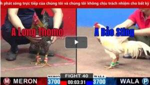 Trận 25 CPC2 02/03/2025 - Long Tho Mo Gặp Bảo Sting Cuộc Chiến Của Những Người Cùng Khổ