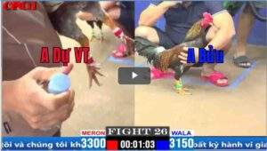 Trận 26 CPC1 20/03/2025 - Bông Cọp Chồng Độ 3 Gặp Ngay Cú Hiệu Và Cái Kết