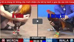 Trận 26 CPC2 05/03/2025 - Anh Hưng Cần Thơ Gặp Cọp Bị Đá 3 Chân Bưng Ra Ngoài