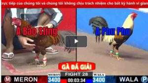 Trận 28 CPC2 02/03/2025 - Phu Phu Gặp Bảo Sting Oan Gia Ngõ Hẹp