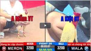 Trận 28 CPC3 19/03/2025 - Trận Đấu Thứ Hai Mang Về 6 Điểm Của Anh Mắm Vũng Tàu