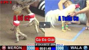 Trận 29 CPC1 22/03/2025 - Cặp Đấu Duyên Nợ Và Cái Kết Bất Ngờ