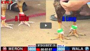 Trận 3 CPC1 22/03/2025 - Anh Long Ra Quân Gặp Ngay Cọp Và Cái Kết