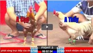 Trận 3 CPC2 19/03/2025 - Ông Thầy Ra Quân Chiến Thắng Nhẹ Nhàng