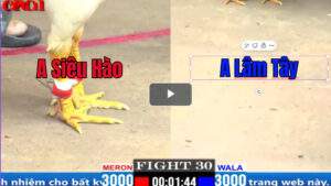 Trận 30 CPC1 31/03/2025 - Xem Thường Đối Thủ Và Nhận Cái Kết Đắng