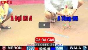 Trận 34 CPC1 24/03/2025 - Anh Tùng Đồng Nai Ra Quân Mở Màn Cho Hành Trình Vô Địch