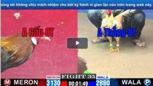 Trận 35 CPC1 07/03/2025 - Cuộc Đối Đầu Của 2 Idol Bến Tre