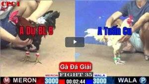 Trận 35 CPC1 22/03/2025 - Trận Đấu Quyết Định Mang Về Chức Vô Địch