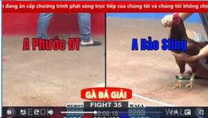 Trận 35 CPC2 02/03/2025 - Cái Kết Đầy Bất Ngờ Trong Trận Đấu Đầy Cảm Xúc Của Bảo StingTrận 35 CPC2 02/03/2025 - Cái Kết Đầy Bất Ngờ Trong Trận Đấu Đầy Cảm Xúc Của Bảo Sting