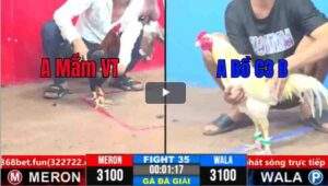 Trận 35 CPC3 19/03/2025 - Trận Đấu Quyết Định Mang Về Chức Vô Địch