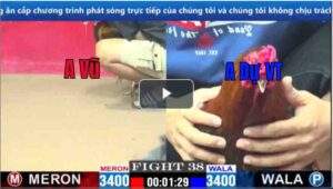 Trận 38 CPC1 11/03/2025 - Gà Điều Cúp Hàng Độc Của Anh Dự Vũng Tàu