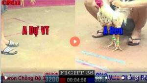 Trận 38 CPC1 20/03/2025 - Bông Chồng Độ 4 Gặp Bướm Chồng Độ 2